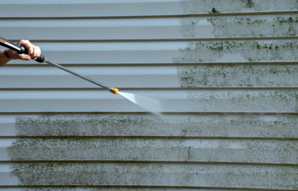 Best Patio and Deck Pressure Washing  in Pawnee, IL